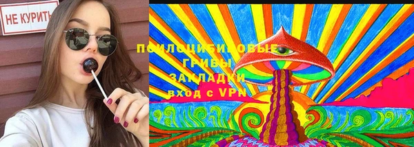 PSILOCYBIN Зеленокумск