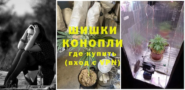 PSILOCYBIN Зеленокумск