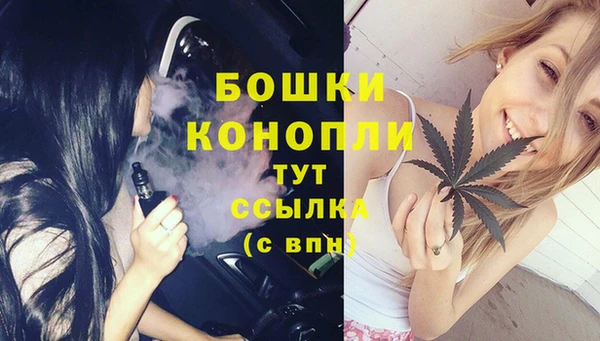 PSILOCYBIN Зеленокумск