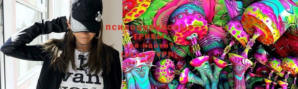 PSILOCYBIN Зеленокумск