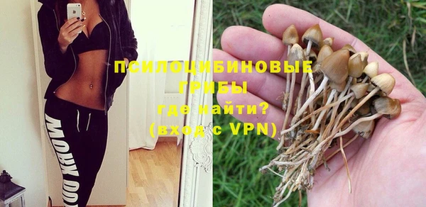 прущие грибы Зеленодольск